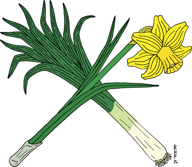 Leek and Daffodil Crossed Kids T-Shirt by AzureLionProductions