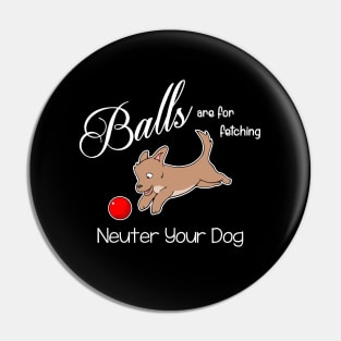 Balls are for fetching Pin