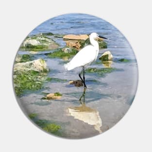 A Heron on the beach 2 Pin