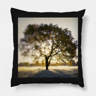 The Joy Tree Pillow