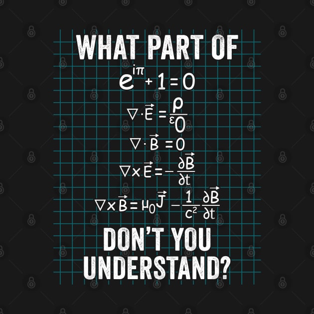 What Part Of Don't You Understand For Physics Teacher by amazinstore