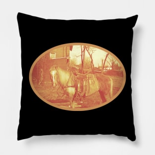 Retro Palomino Pillow