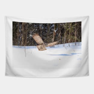 A Great Grey Owl in flight Tapestry