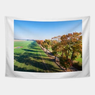 Alley of autumn trees among green fields in countryside Tapestry