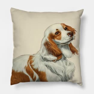 Elegant Brown Welsh Springer Spaniel Dog Pillow