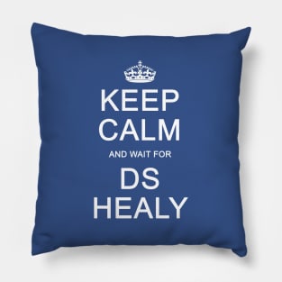 DS Healy Pillow