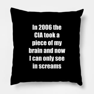 CIA Took a Piece of My Brain Pillow