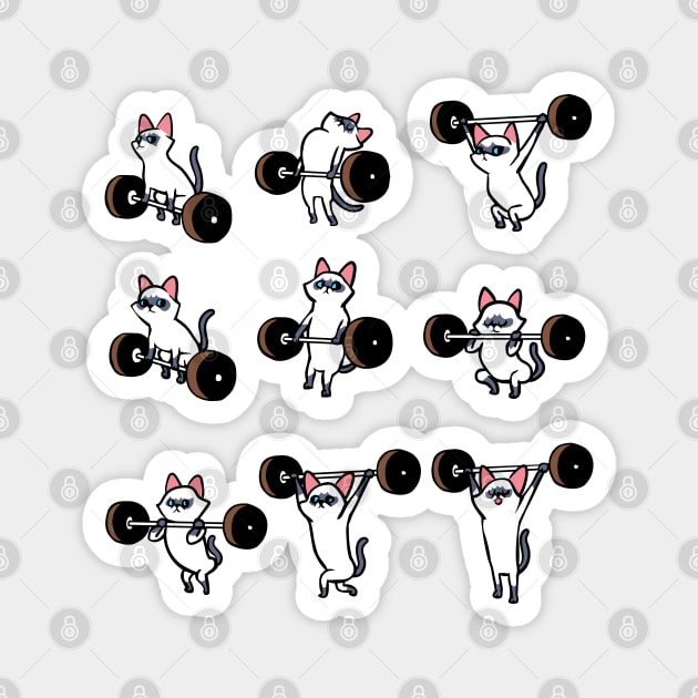 Olympic Lifting Siamese Cat Magnet by huebucket