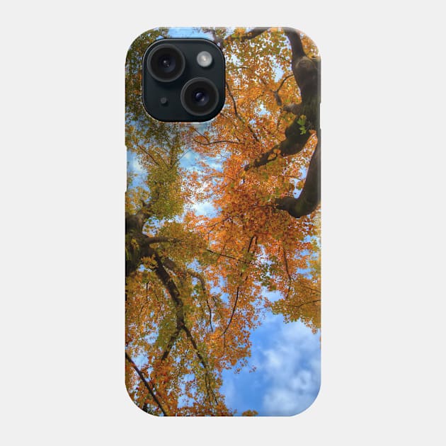 SCENERY 77 - Autumn Tree Woody Forest Leaves Phone Case by artvoria