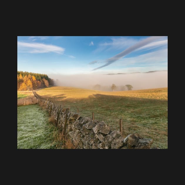 Tweed Valley Mist by Reg-K-Atkinson