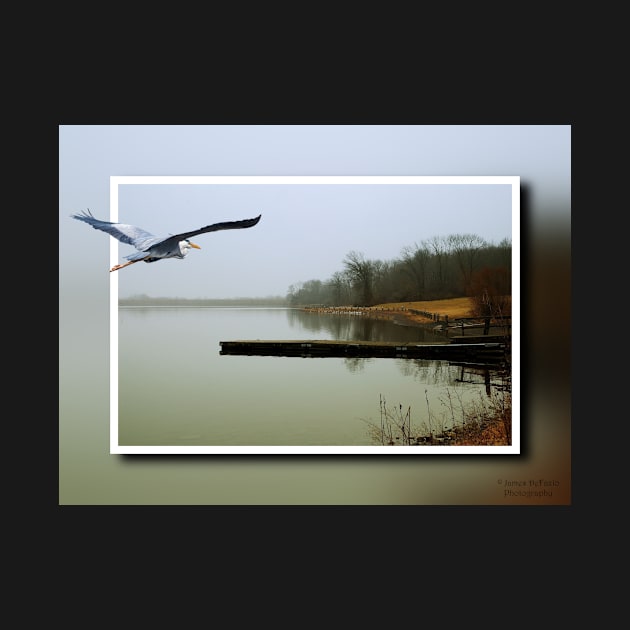 Blue Heron Landscape by JimDeFazioPhotography
