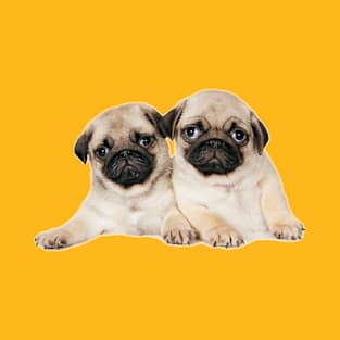 Two pug pups T-Shirt