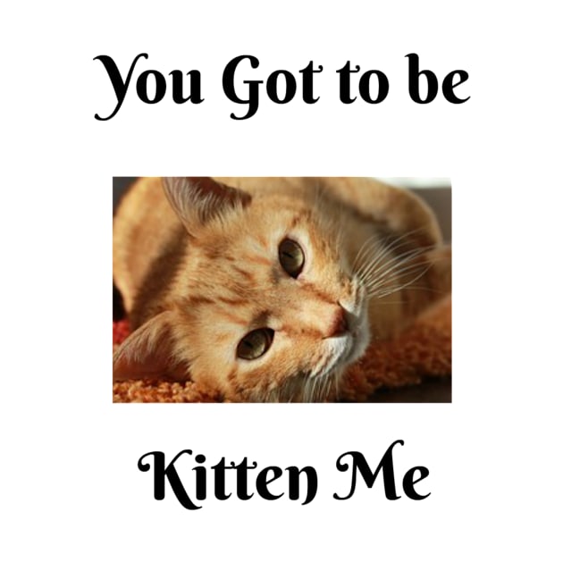 YOU GOT TO BE KITTEN ME by aesbensen