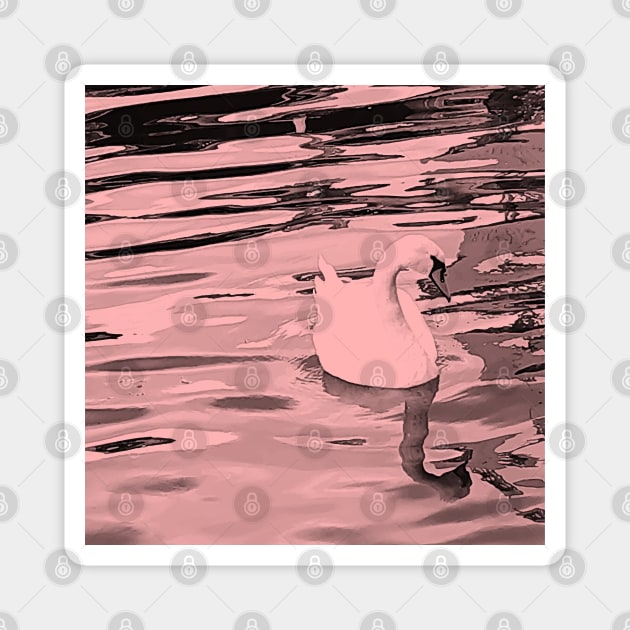 Duck in the water Magnet by PrintedDreams