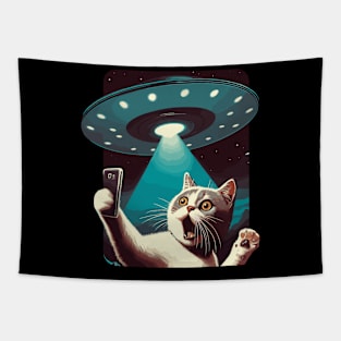 Funny Cat Selfie With UFOs Behind Tapestry