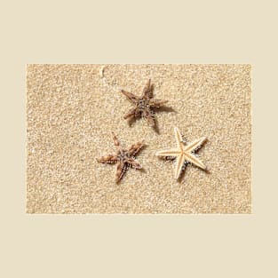 Starfishes T-Shirt