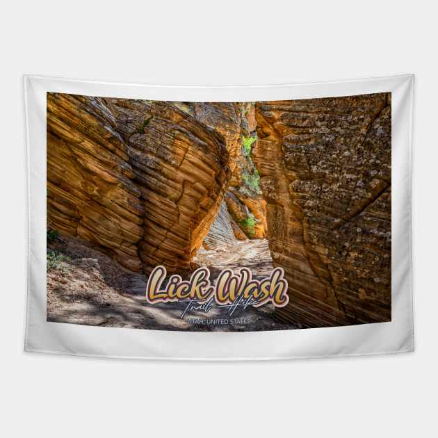 Lick Wash Trail Hike Tapestry by Gestalt Imagery