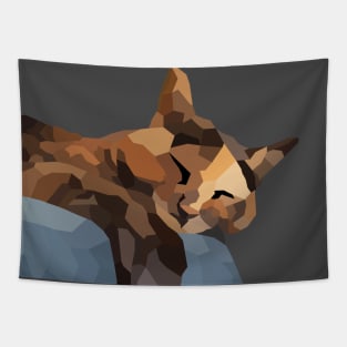 Tortie Low Poly Tapestry