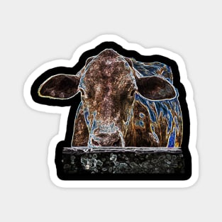 strange ligth cow Magnet