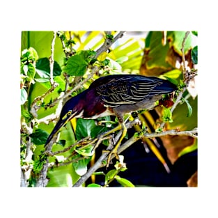 Green Heron Bird T-Shirt