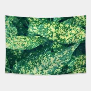 Speckled green leaf photo Tapestry