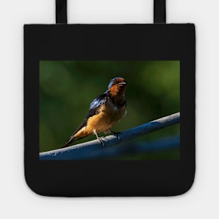 Barn Swallow on a Branch Tote