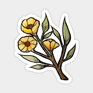 Yellow Buttercup Flowers Magnet