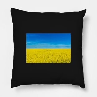 Ukraine national flag landscape - Landscape resembling Ukrainian Flag Pillow