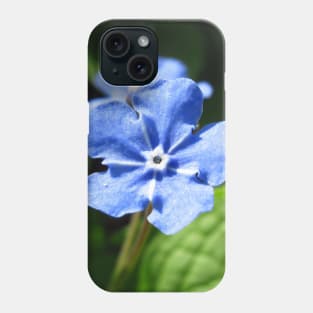 Forget-me-not, blue flower Phone Case