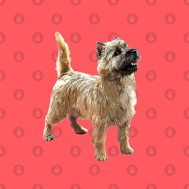 Cairn Terrier Beautiful dog by ElegantCat