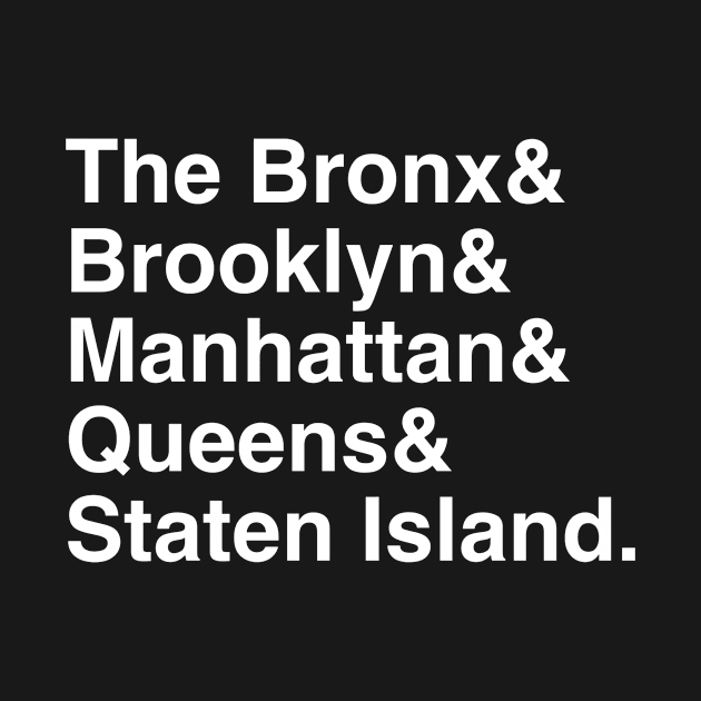 NYC New York City Boroughs by FLARE US