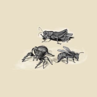 insects illustration, bee, spider and grasshopper T-Shirt