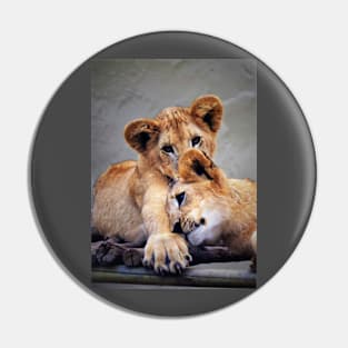 Lion Cubs Pin