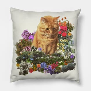 "and Alan was indeed a very, very large cat." Pillow