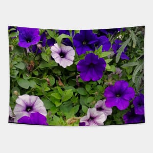 White And Blue Violets Field Tapestry