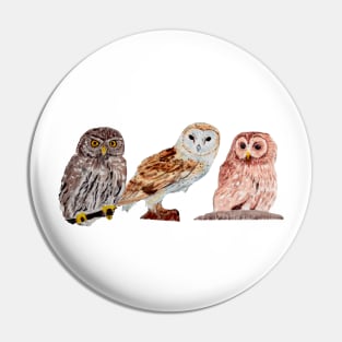 Trio of Owls gray background Pin