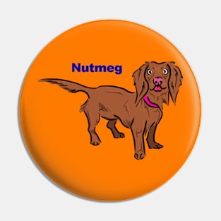 Nutmeg 2.0 Pin