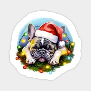 Lazy French Bulldog at Christmas Magnet