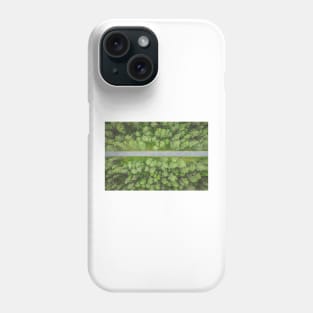 Empty straight road through the forest top down aerial view Phone Case