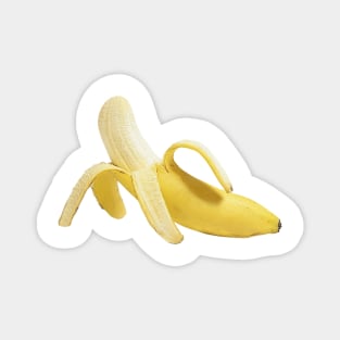 Nanner Magnet