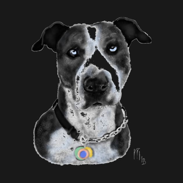 Black and White Pit Bull With Blue Eyes by LITDigitalArt