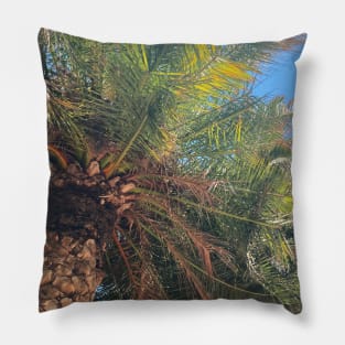 Pretty Palm Tree Photography design with blue sky nature lovers Pillow