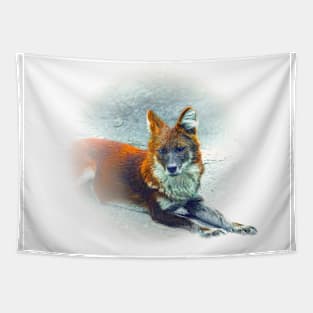 Dhole-asian wild dog Tapestry