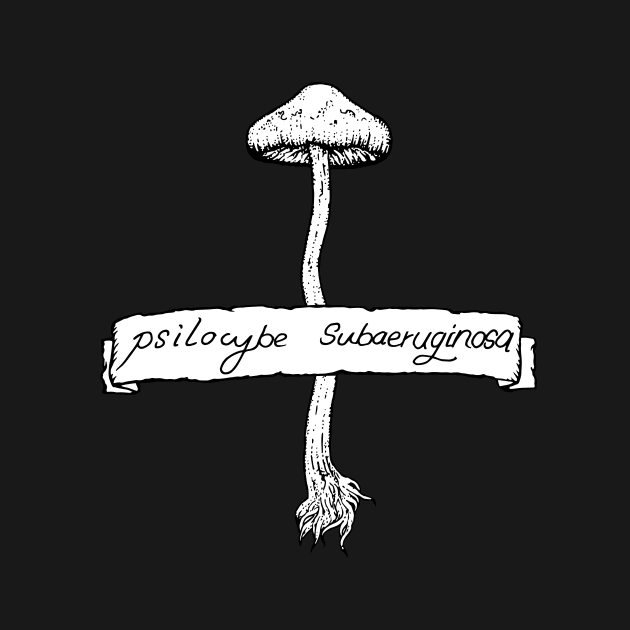 Psilocybe subaeruginosa by bangart