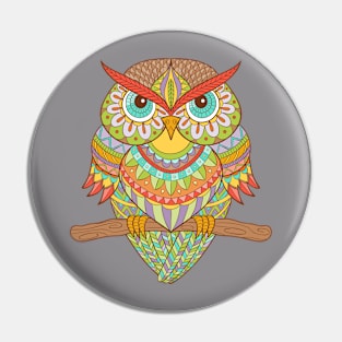 colorful owls Pin