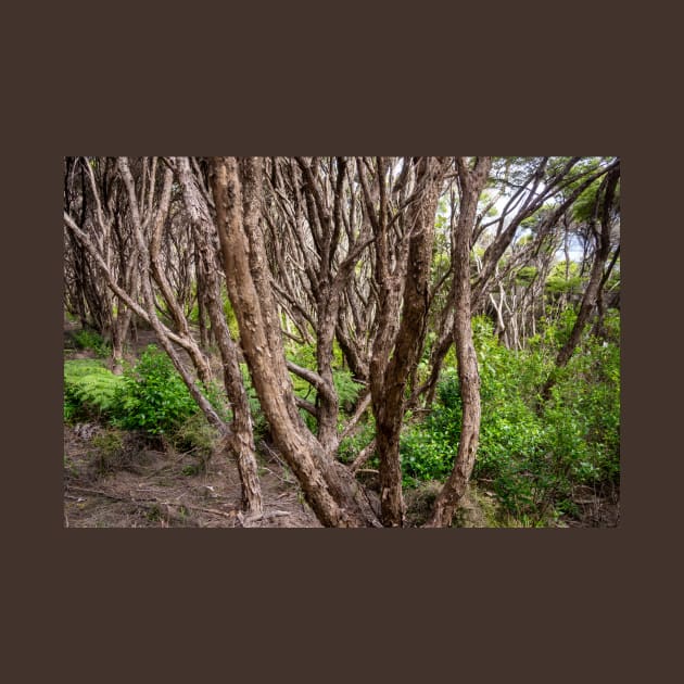 Manuka trees. by sma1050