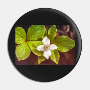 Bunchberry flower Pin