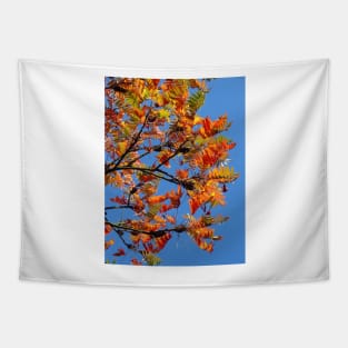 Autumn Tapestry