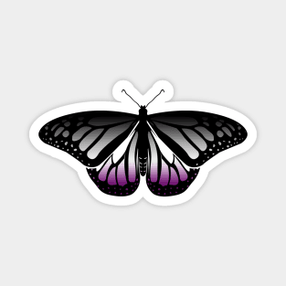 Asexual Pride Butterfly Magnet