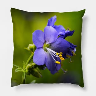 Blue flower Pillow